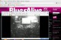 bluesalive.cz